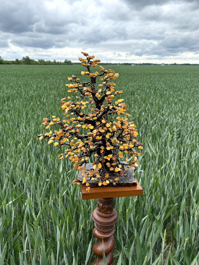 Gintarinis medis - ,,Ąžuolas" (~55cm)